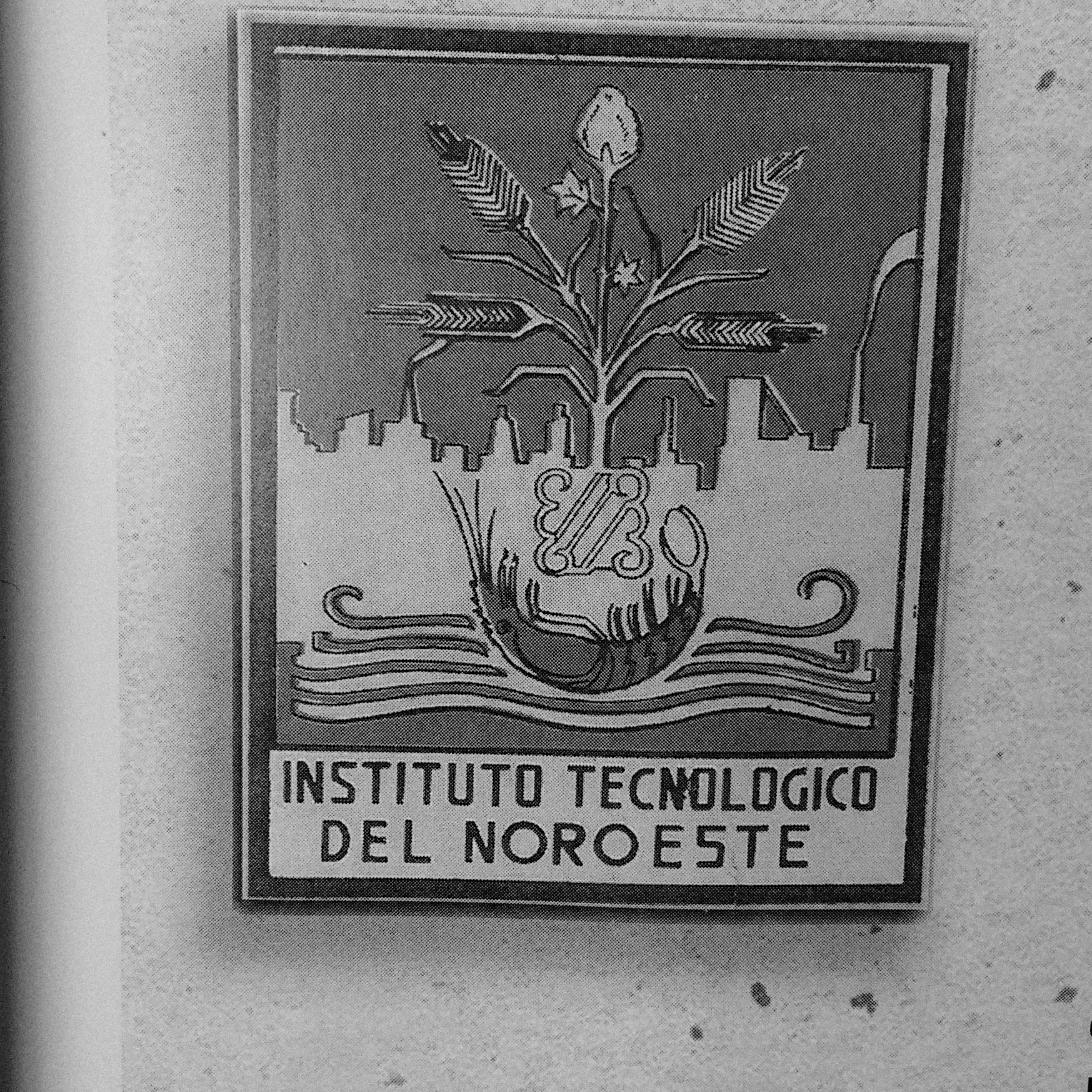 Nuestro escudo oficial fue creado en 1957 por iniciativa del entonces Director del ITNO, Dr. Julio Ibarra Urrea.